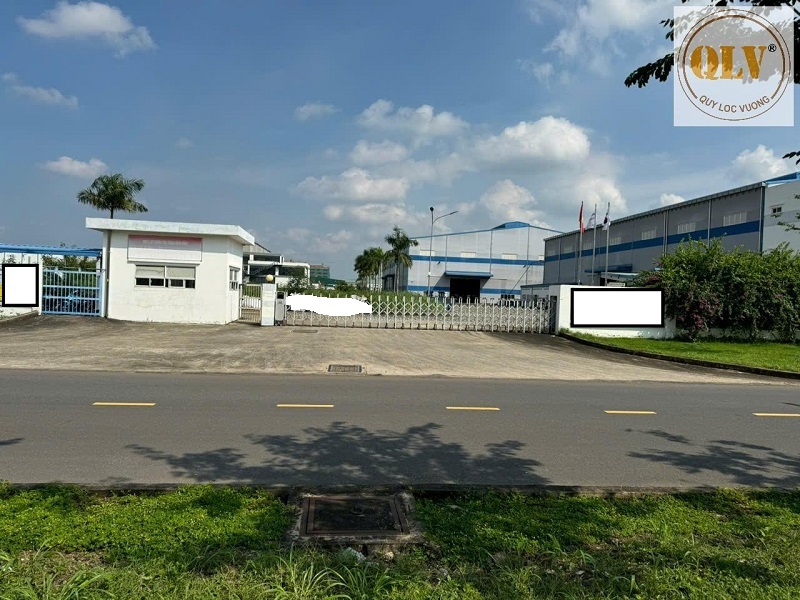 Industrial Land and Factory for Rent in Vietnam with Complete Facilities