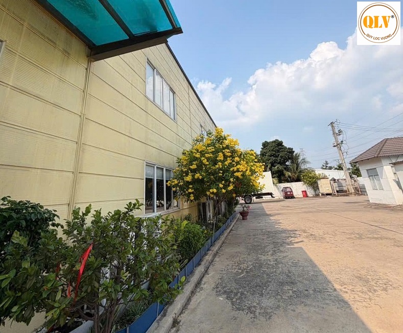 Factory for Rent in Binh Duong Industrial Park