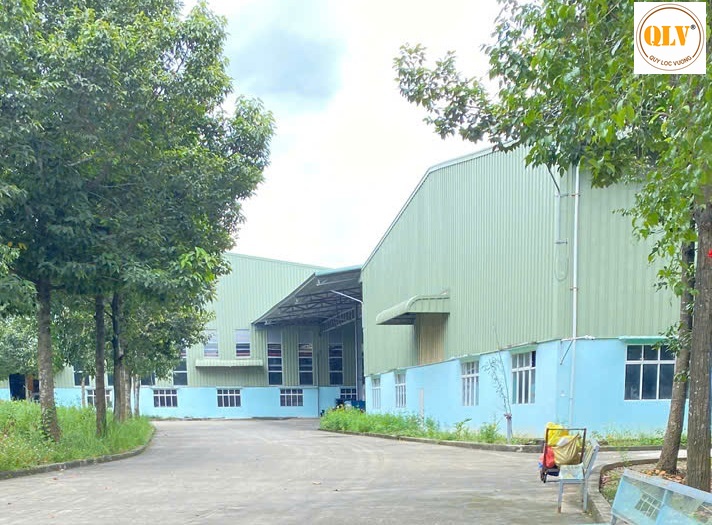Factory for Rent in Dong Nai