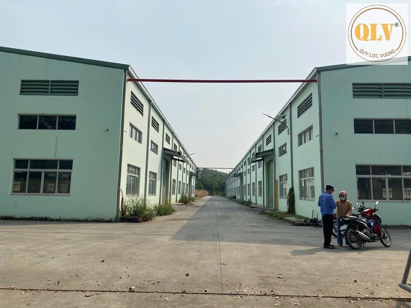 Factory for Rent in Vietnam Industrial Parks