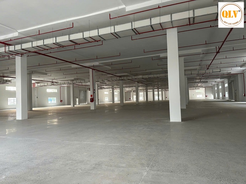 Factory for Rent in Vietnam, Large-Scale with Auxiliary Facilities