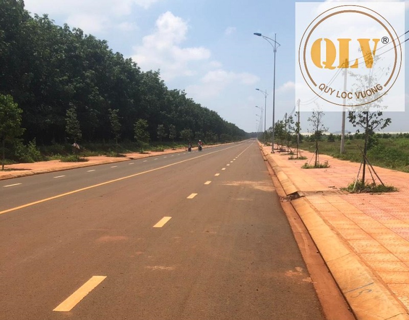 Industrial Land for Sale in Vietnam