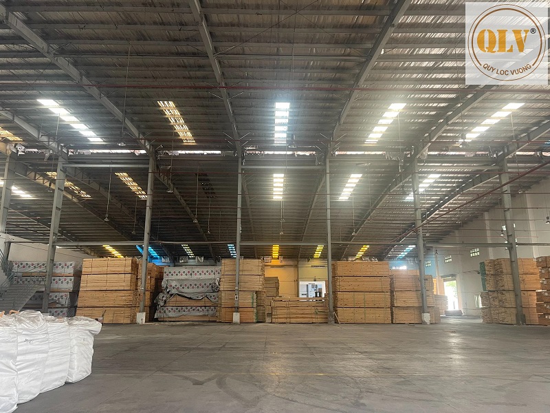 Industrial Production Facility for Sale in Binh Duong Vietnam