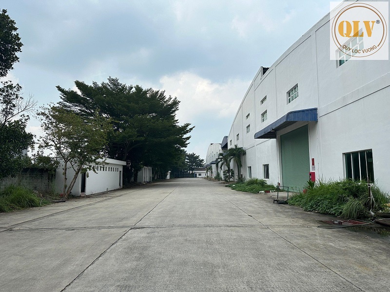Industrial Production Facility for Sale in Binh Duong Vietnam