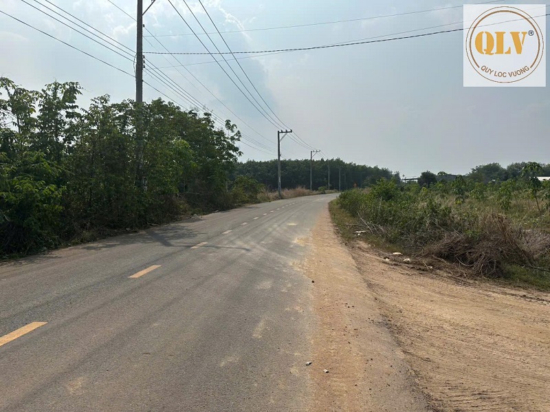 New Factory for Rent in Vietnam