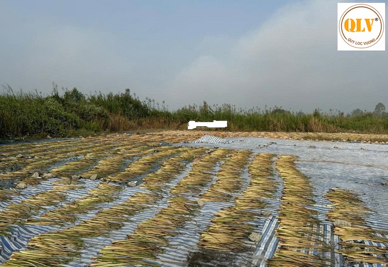 Riverfront Industrial Land for Sale in Vietnam