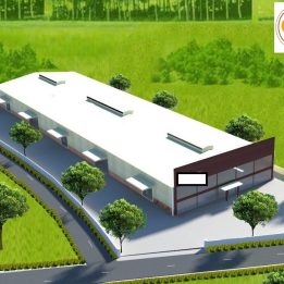 Ảnh đại diện