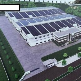Ảnh đại diện