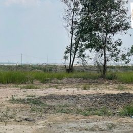 Ảnh đại diện