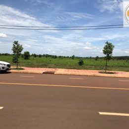 Ảnh đại diện