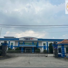 Ảnh đại diện