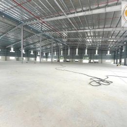 Ảnh đại diện